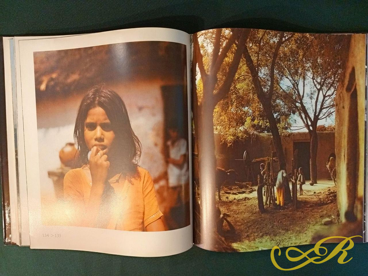  Книга (Индия: Облик субконтинента) автора Гюнтера Нерлиха.  "Indien: Antlitz eines Subkontinents" 