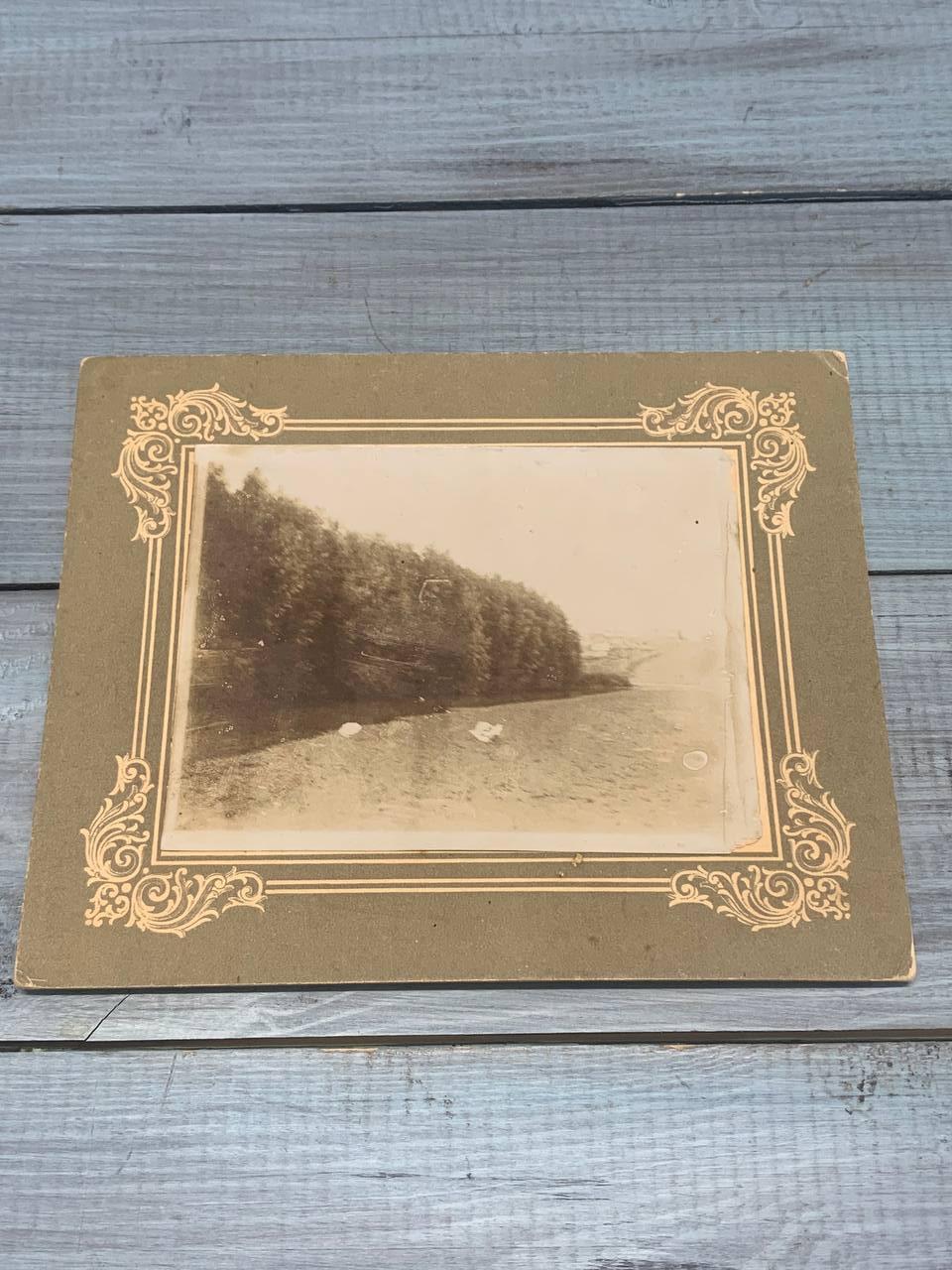 Фотографии старинные, до революционные