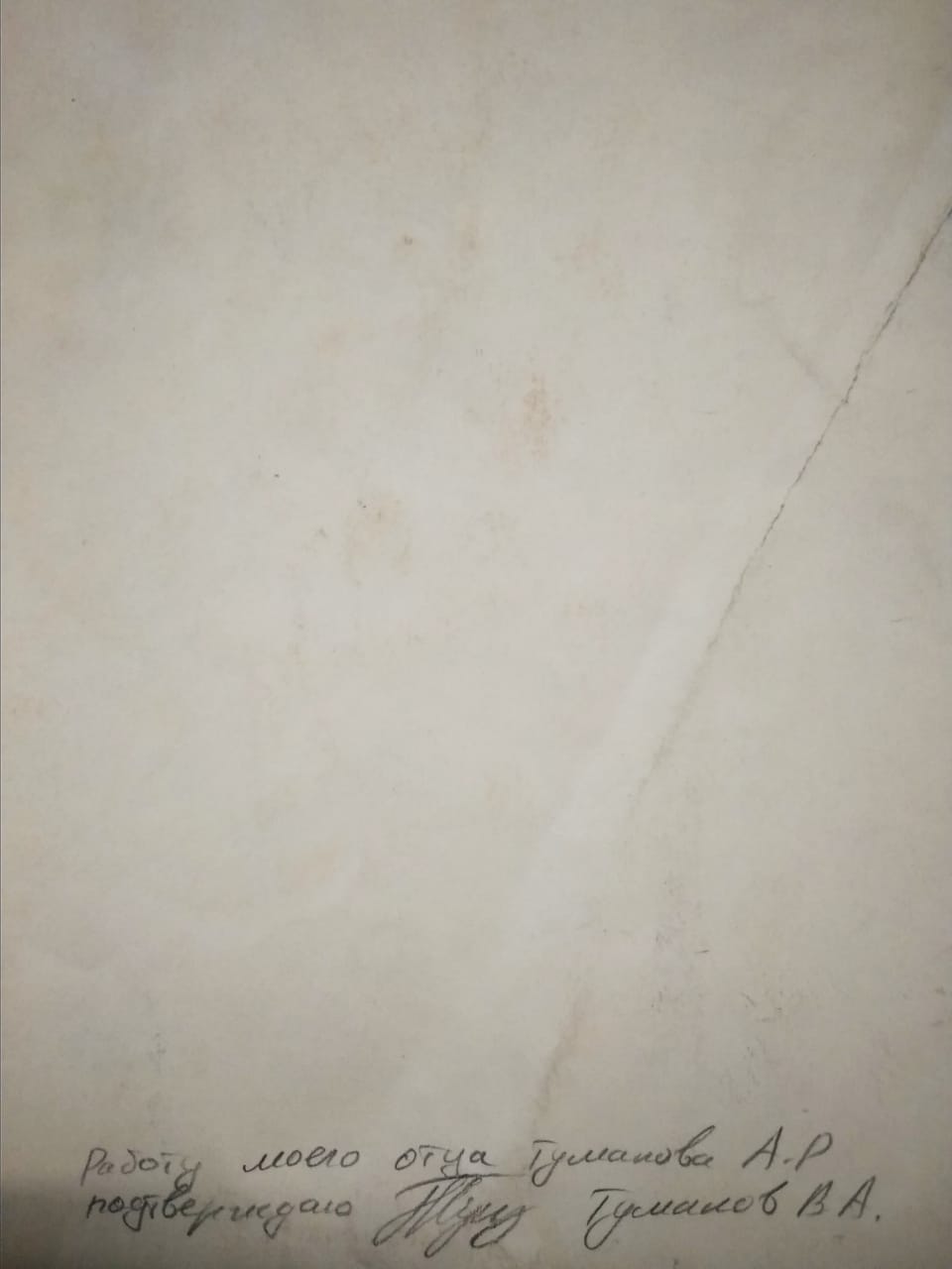 Картина "Девушка", автор: Туманов А.Р.