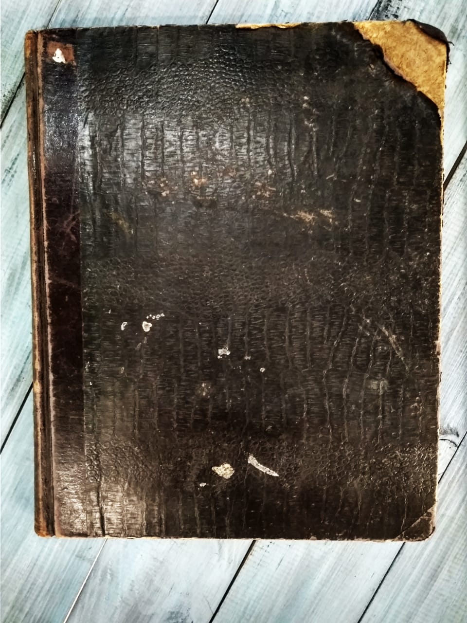 Коллекция нот