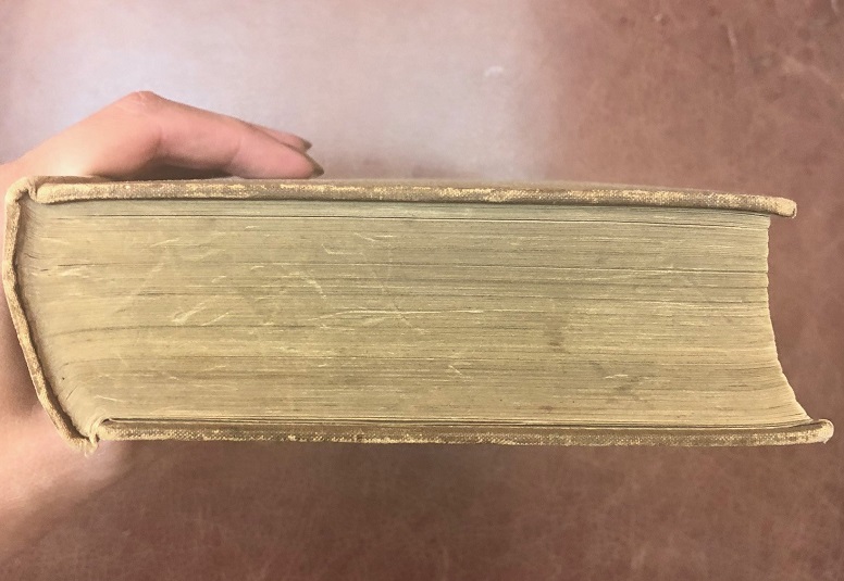 The Luck of Study Thirteen Jeffrey Havilton 1945.