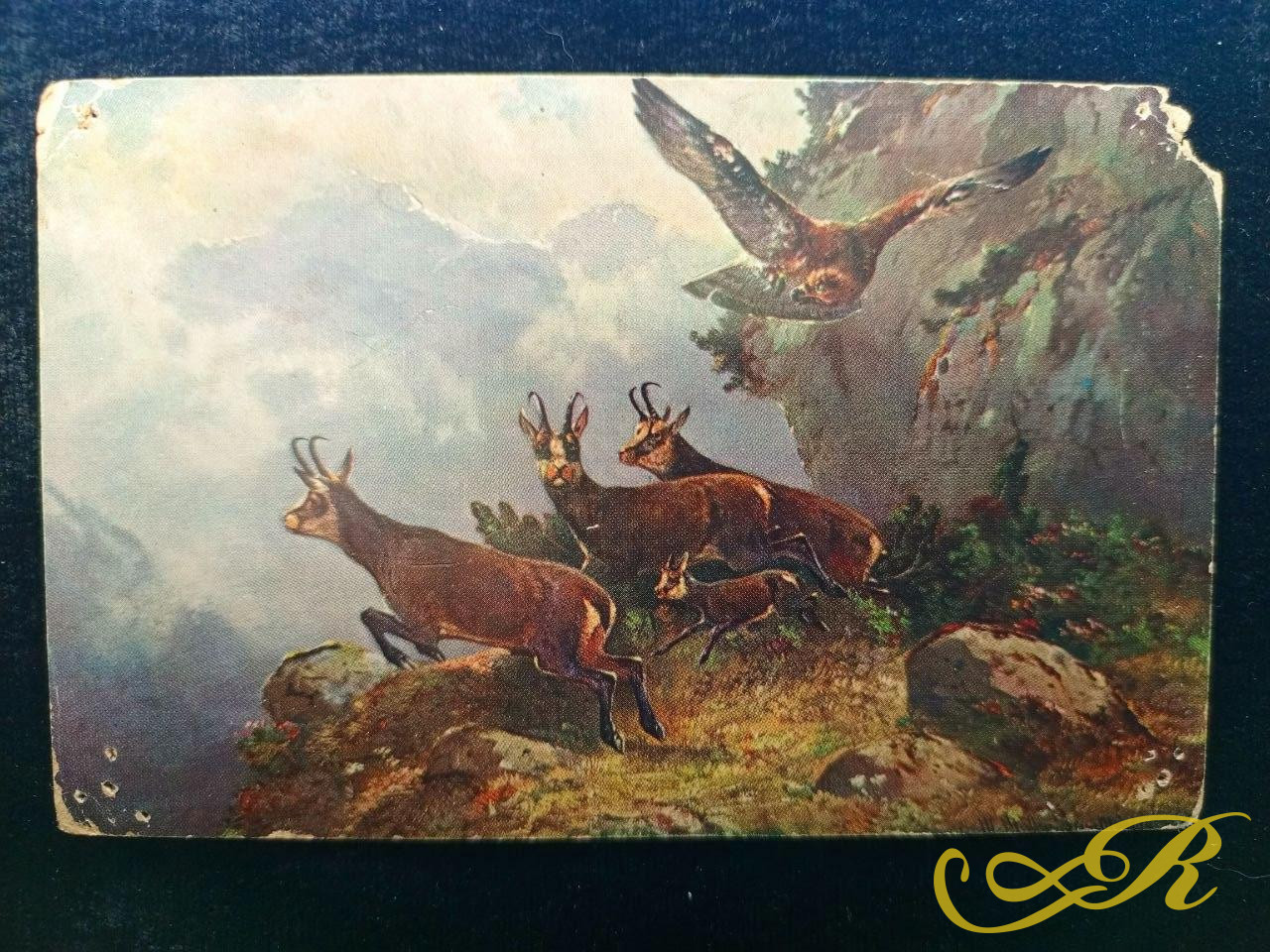  открытка Коллекционная почтовая(посткроссинг или антиквариат) Охота на оленей