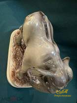 Фарфоровая статуэтка" Слониха со слоненком" Германия. Большая!