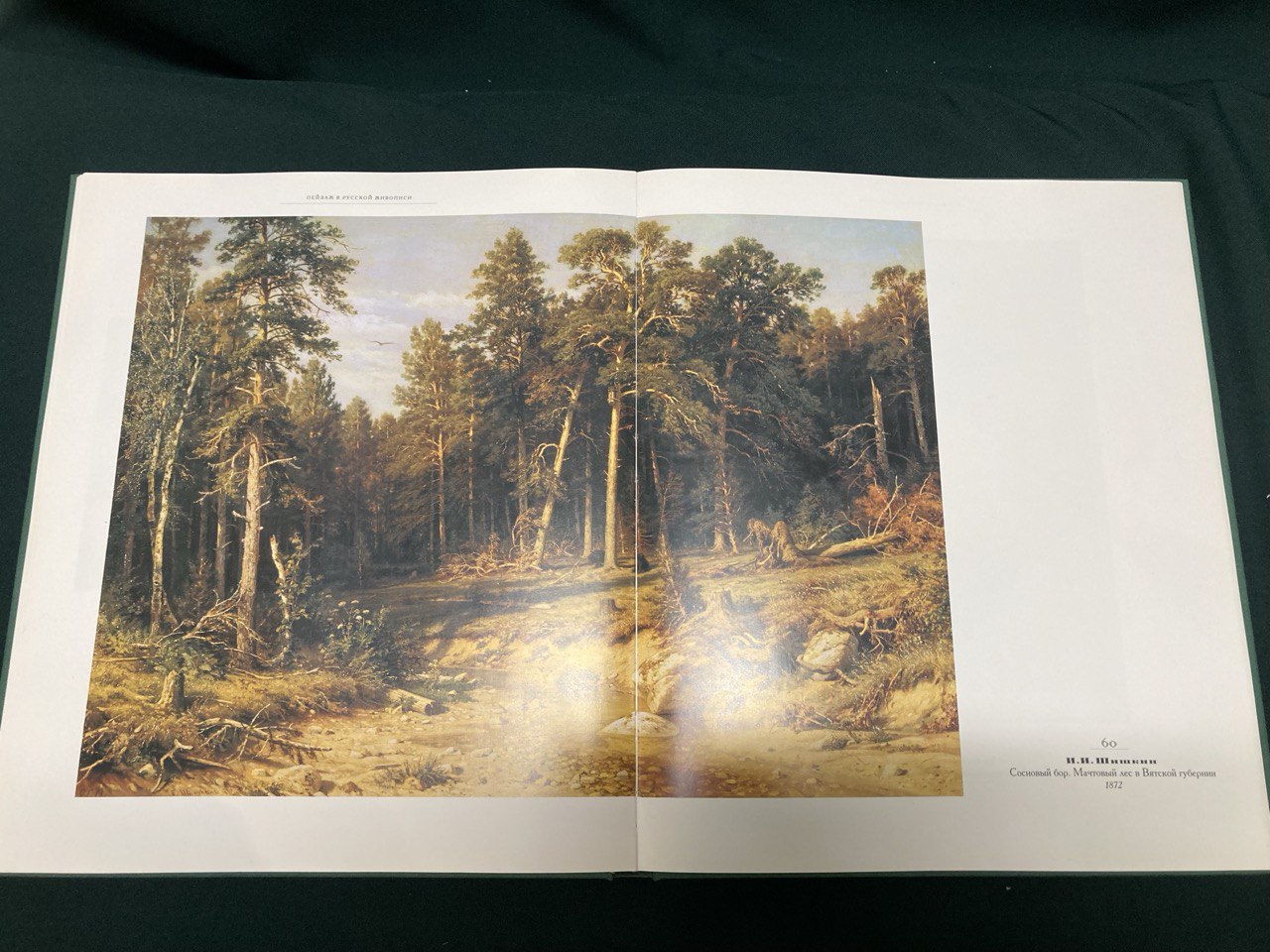 «Пейзаж в русской живописи» от классицизма до символизма. Н.К. Маркова. Москва 1999 г.