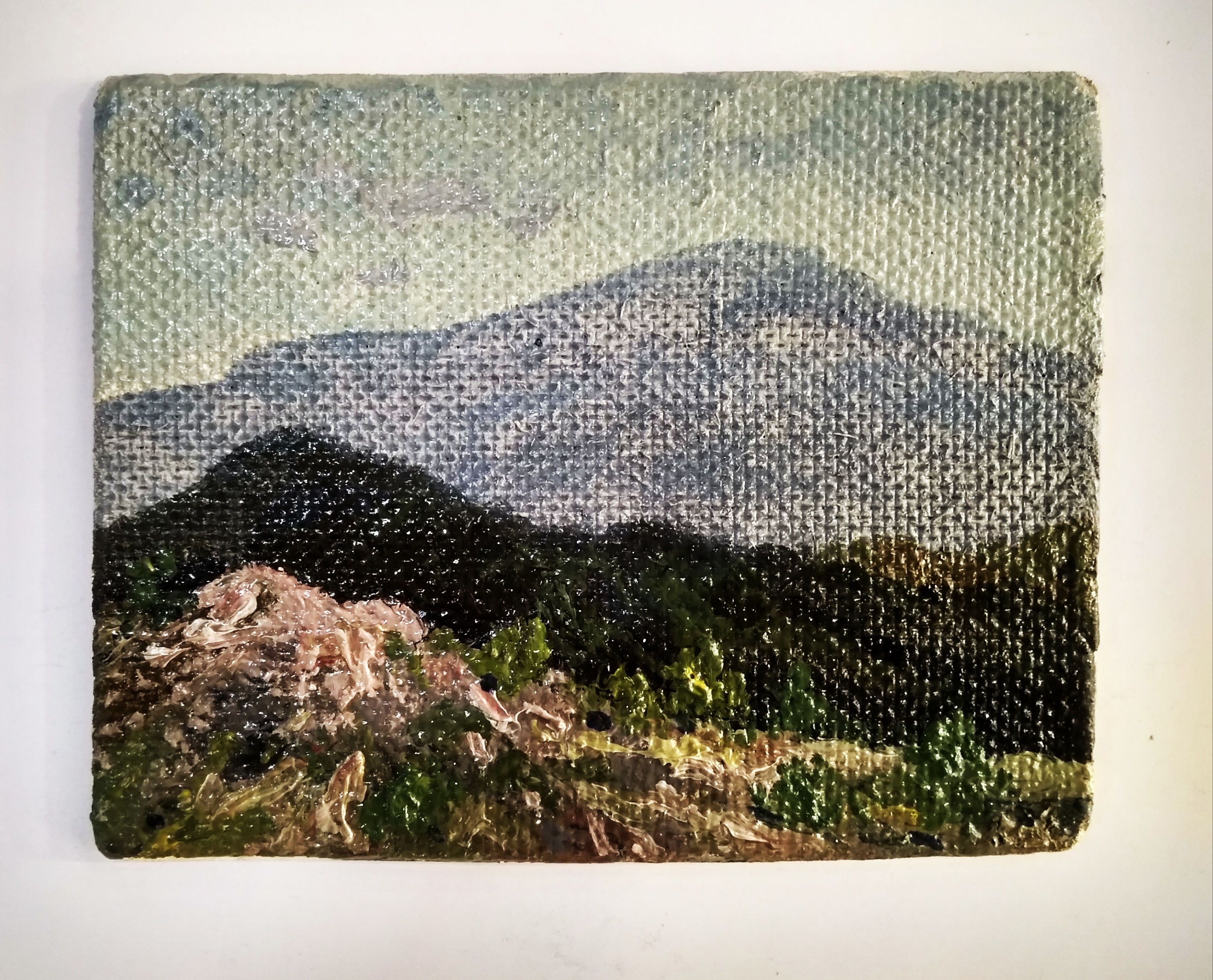 Холмы, Салмин М.А., 1985 г.