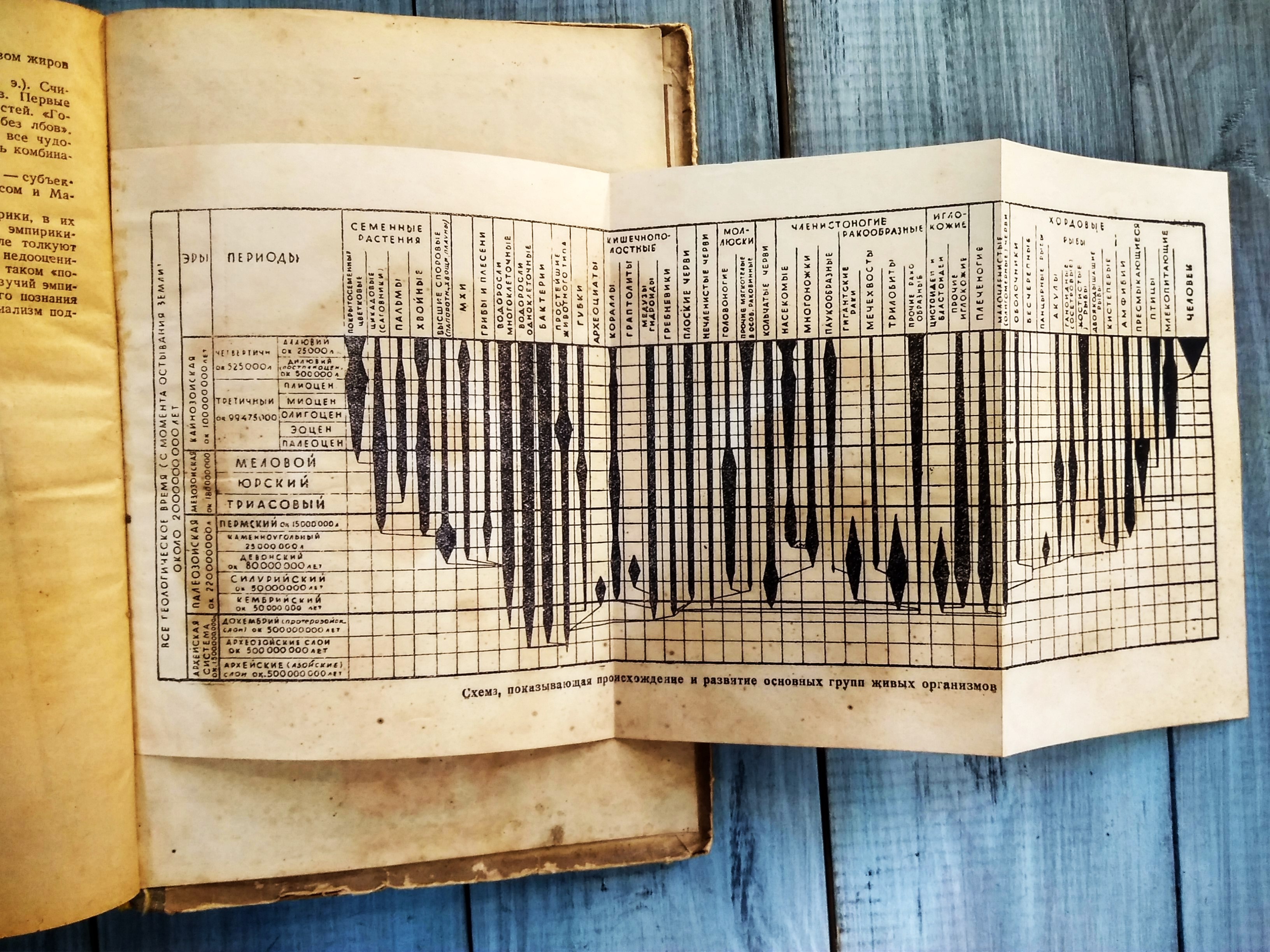 В.Сафонов Загадка жизни, из-во Молодая гвардия, 1947 год