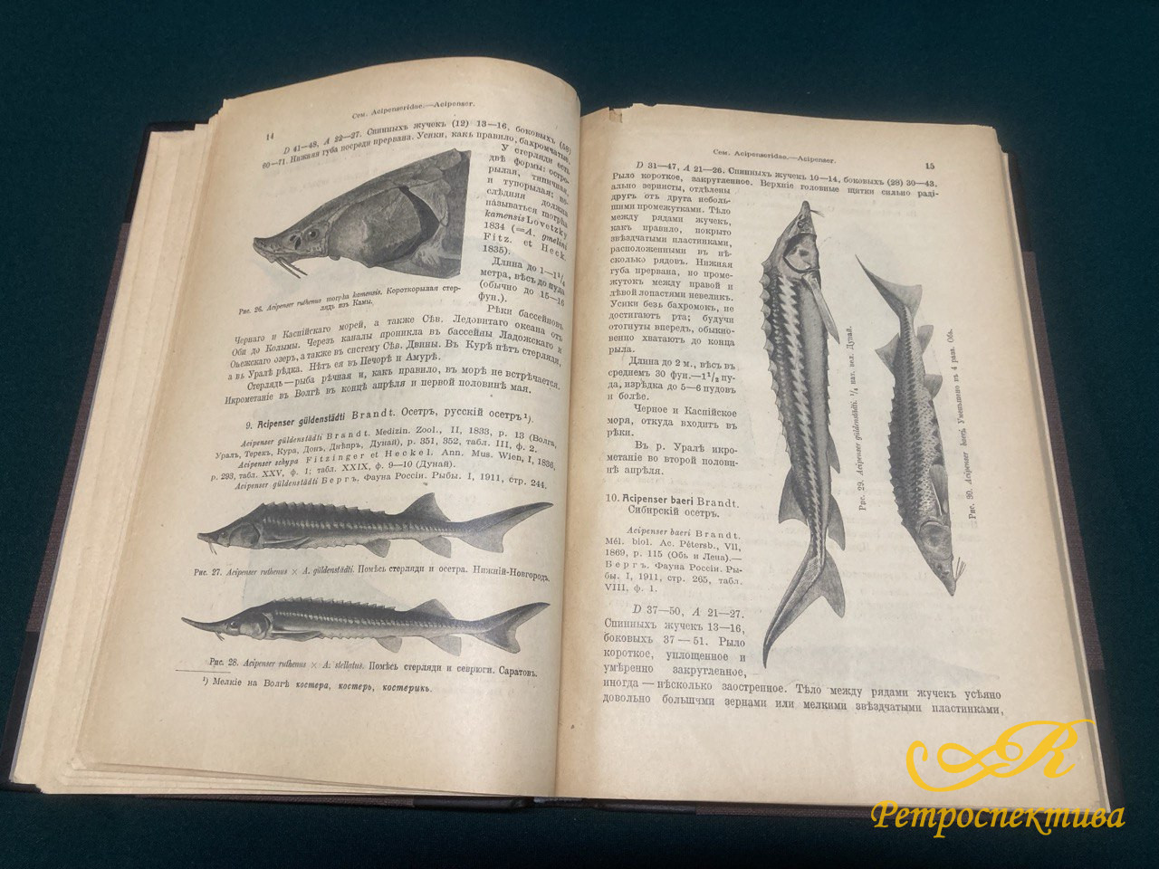 Берг Л.С. " Рыбы пресных вод Российской империи".