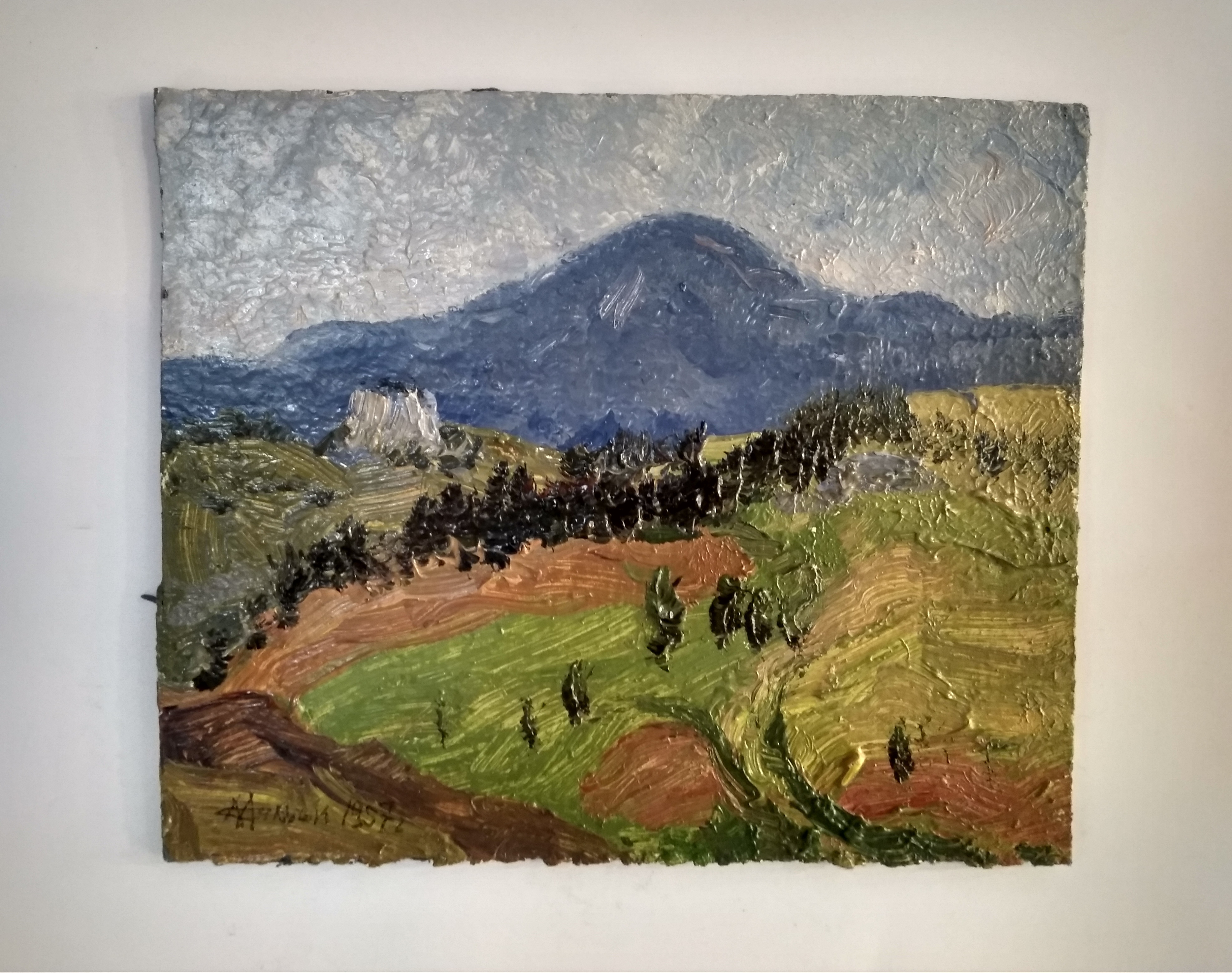 Летние поля, Салмин М.А., 1957 г.