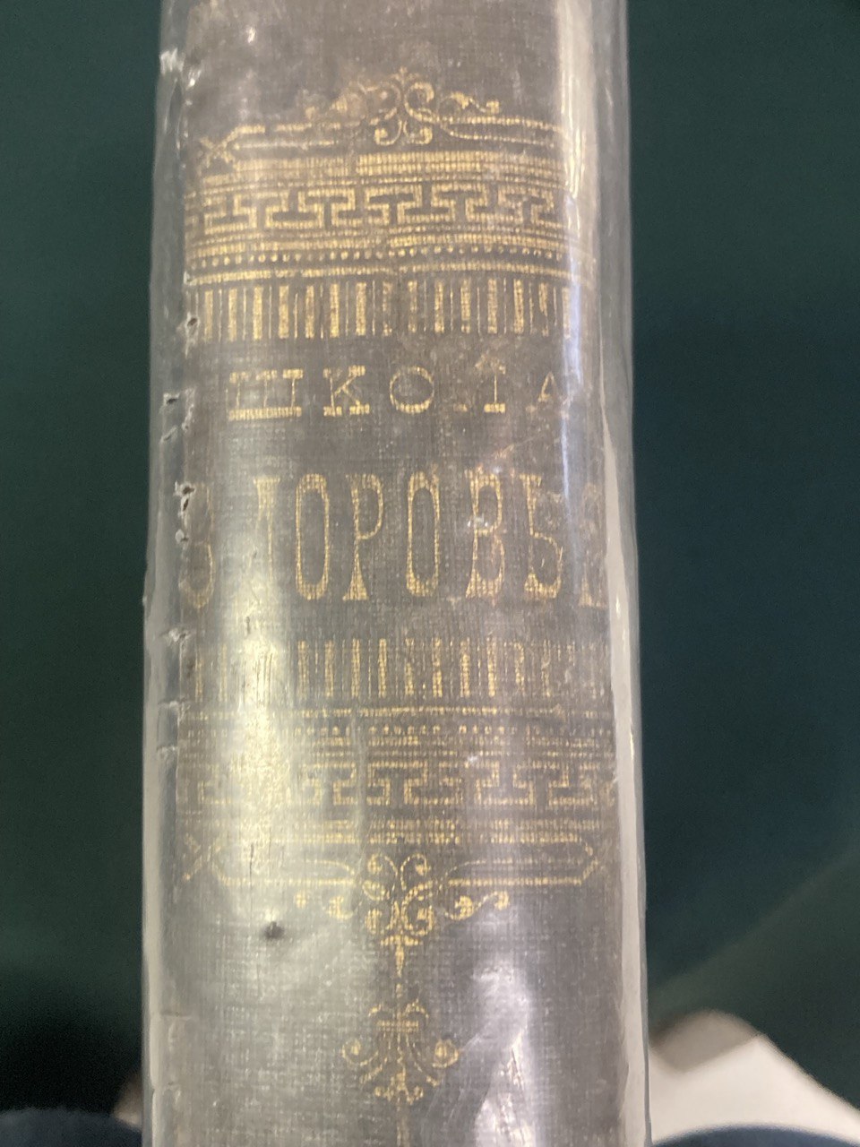 "Школа здоровья" ( домашнiй лечебникъ). Практическое руководство . Д-мъ Анреевскимъ. Москва 1879 г.Издание Ступина