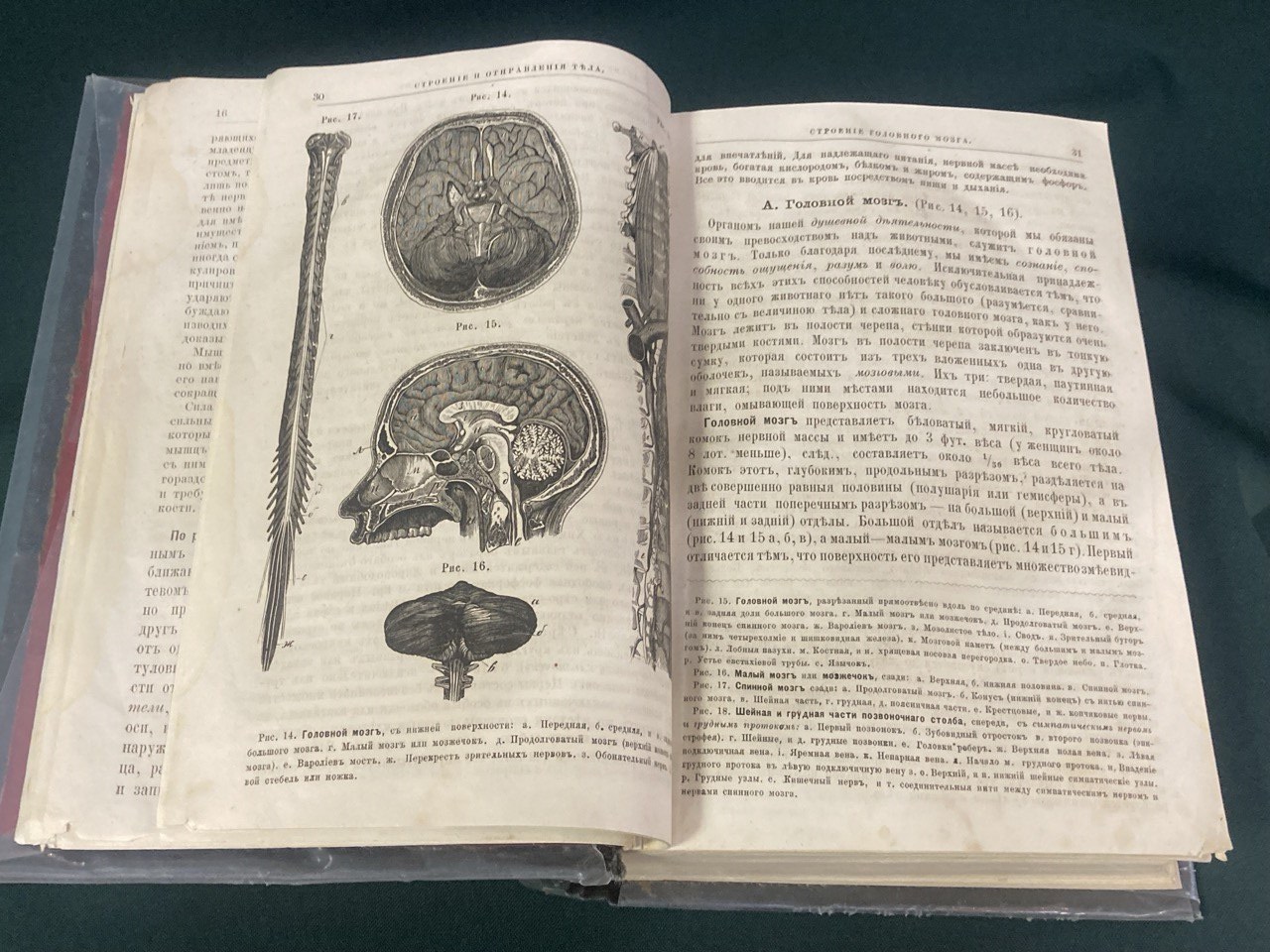 "Школа здоровья" ( домашнiй лечебникъ). Практическое руководство . Д-мъ Анреевскимъ. Москва 1879 г.Издание Ступина