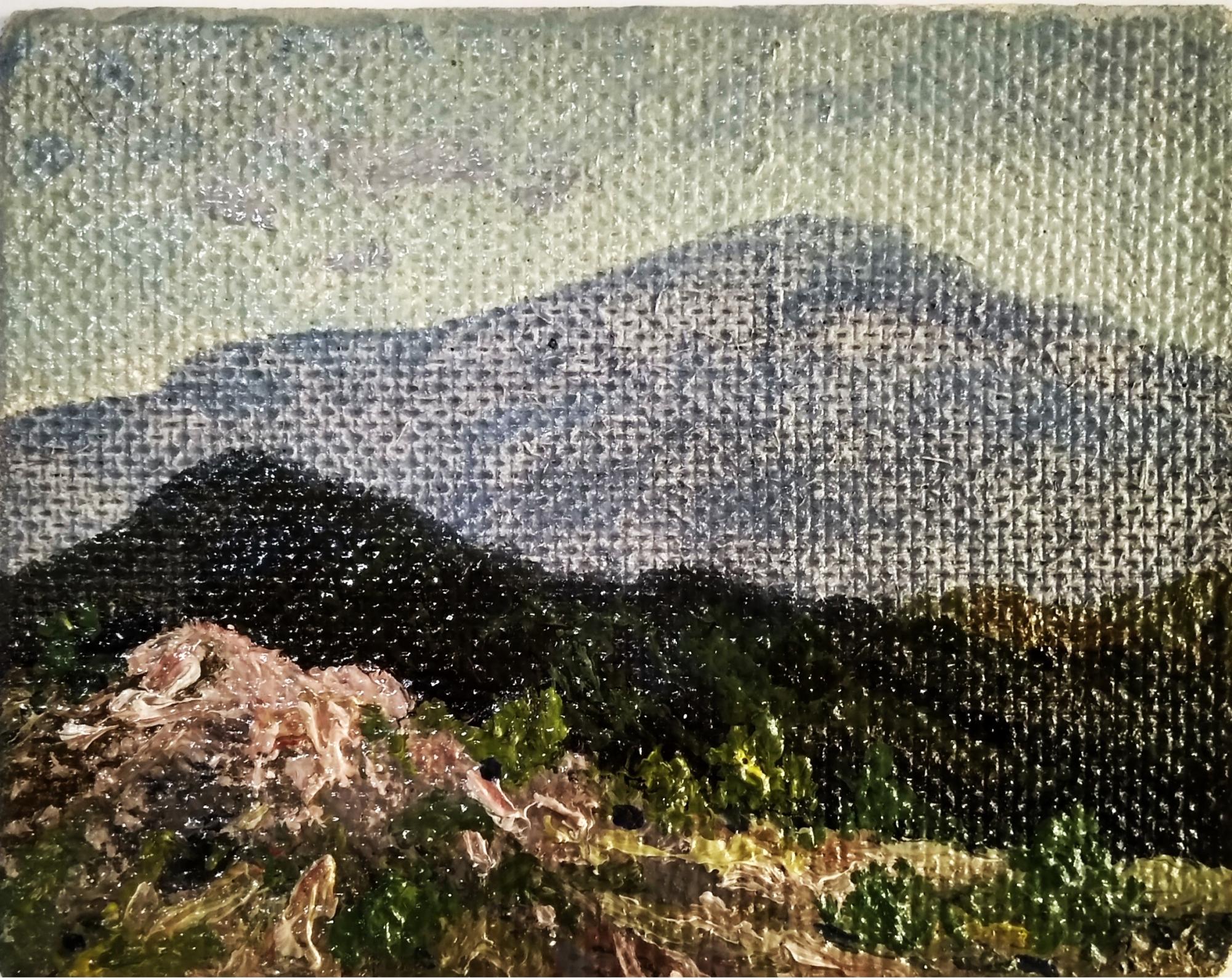 Холмы, Салмин М.А., 1985 г.