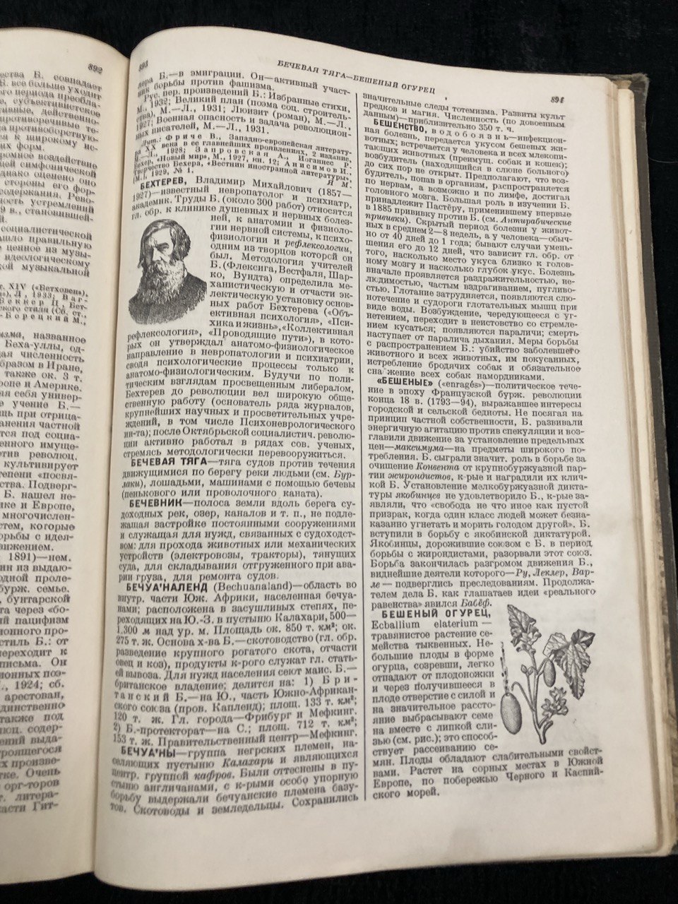 «Малая советская энциклопедия» Том первый, Н.Л. Мещеряков, Государственный институт «Советская энциклопедия» Москва ОГИЗ РСФСР 1937г.