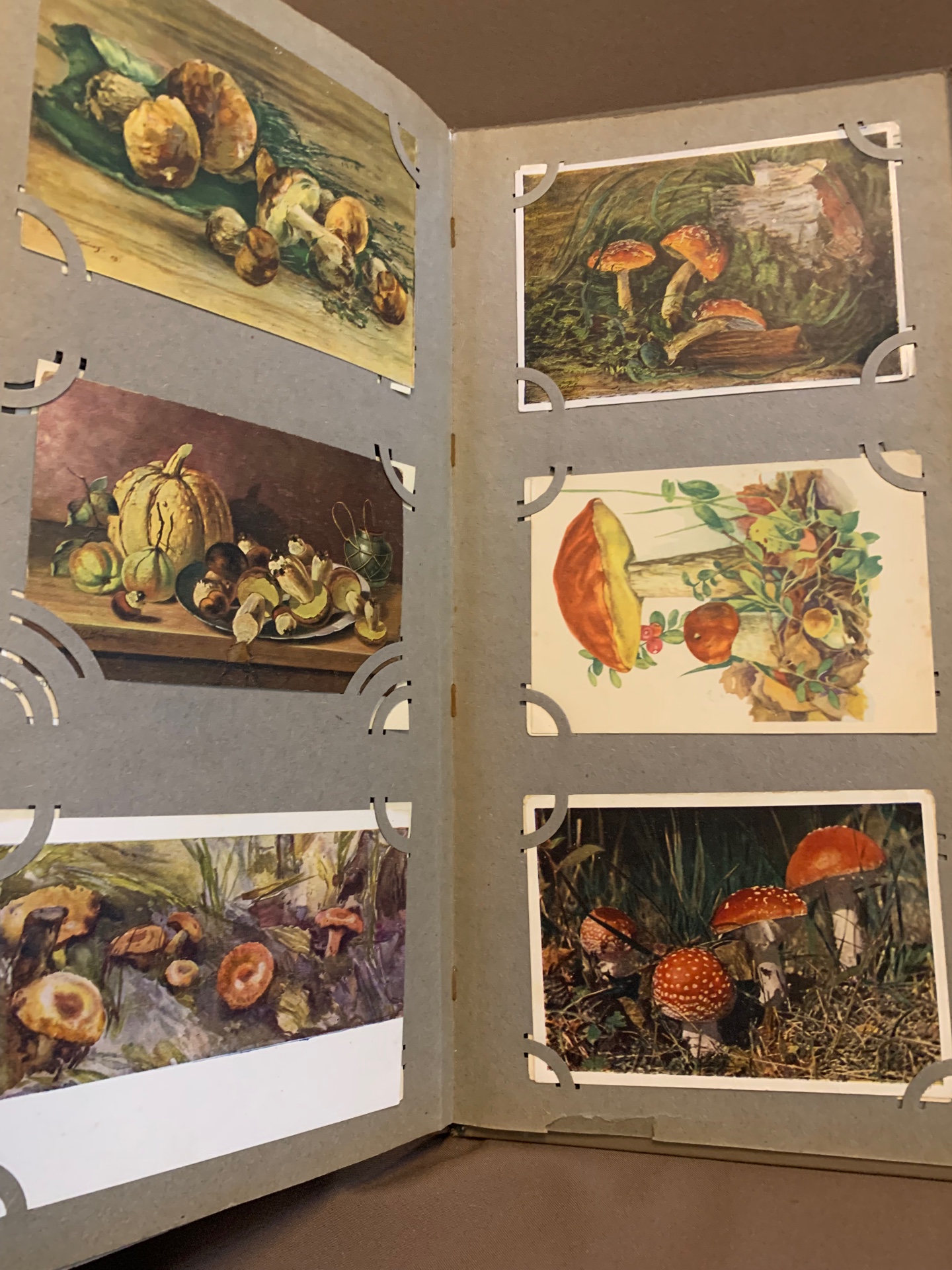 Альбом с открытками 40 шт