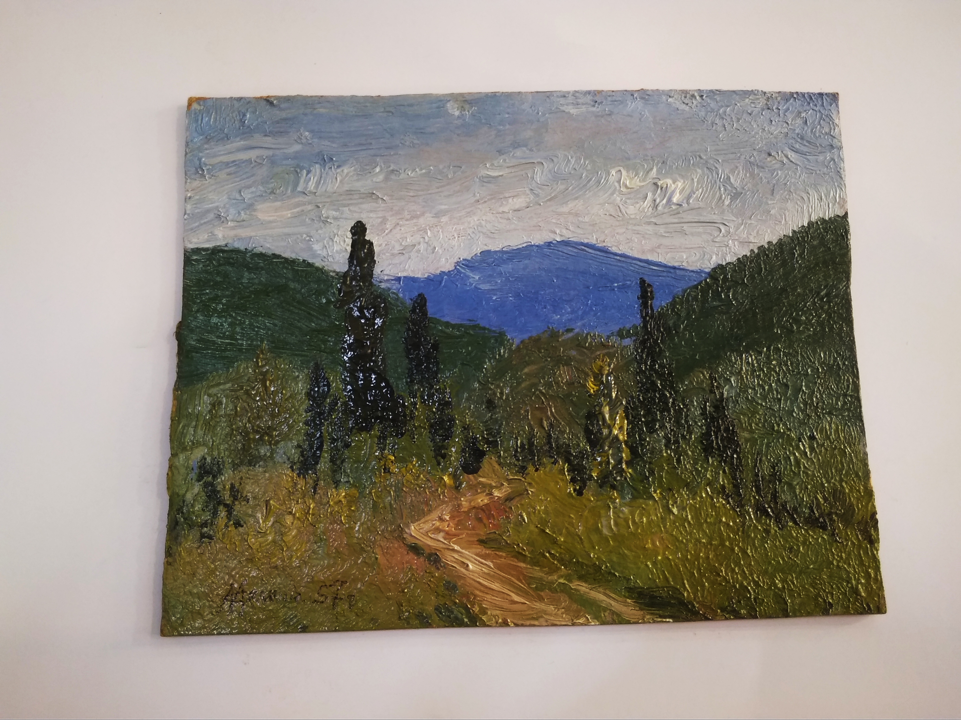 Пейзаж летний Салмин М.А. 1957 год