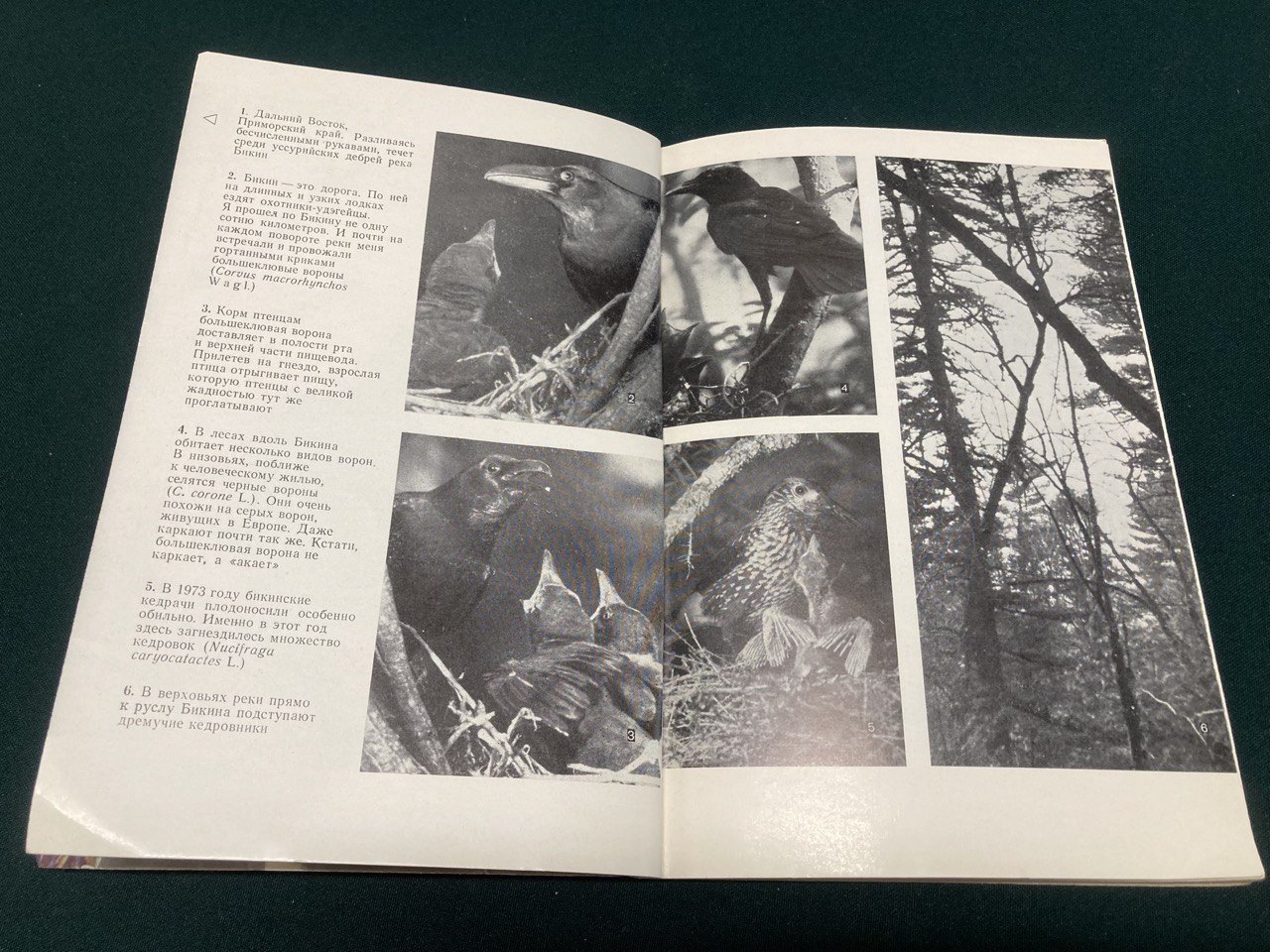 Пуканский Ю.Б. " По таежной реке Бикин" Москва 1975 г.