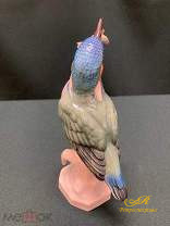 Фарфоровая статуэтка " Зимородок с рыбой." Германия, клеймо Volkstendter.