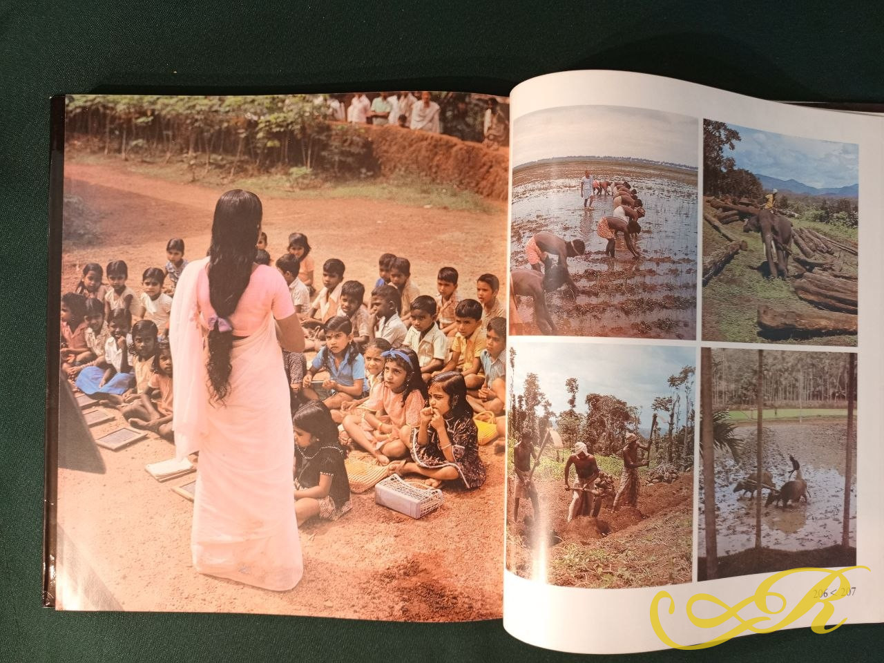  Книга (Индия: Облик субконтинента) автора Гюнтера Нерлиха.  "Indien: Antlitz eines Subkontinents" 