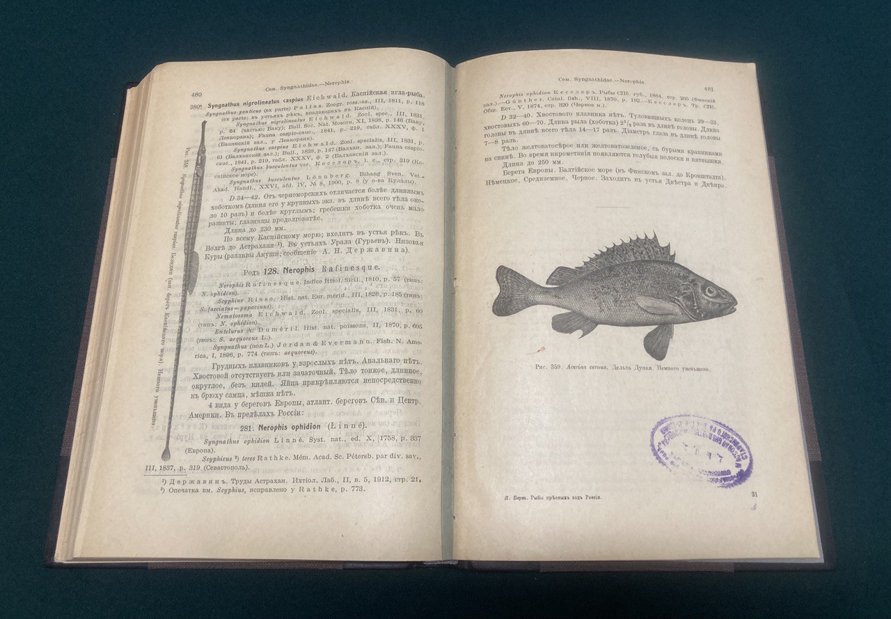 Берг Л.С. " Рыбы пресных вод Российской империи".