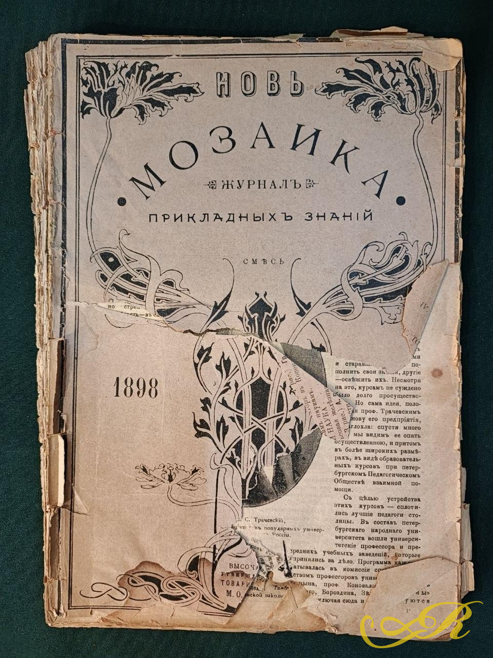  «Новь. Мозаика» — журнала прикладных знаний, вышедшего в 1898 году. 