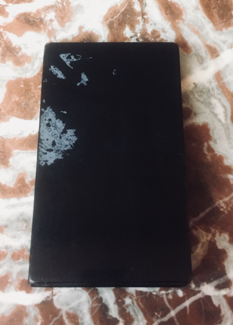 Шкатулка "Ленин. В Разливе" Мстера, СССР.