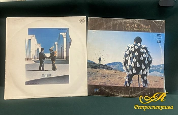 Пластинки 2 шт. Пинк Флойд " Жаль, что тебя здесь нет" и " Delicate Sound of Thunder".